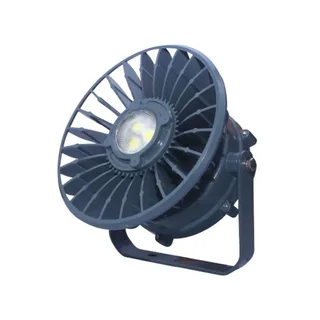 Flame Proof Lights
